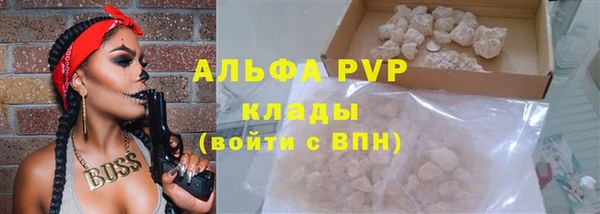 СК Осинники
