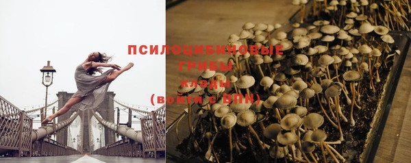 spice Няндома