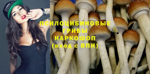 таблы Осташков