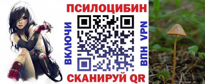 хочу   omg   Псилоцибиновые грибы ЛСД  Чулым 